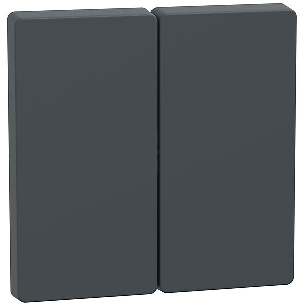 Merten Wippe anth Serienschalter MEG3400-6034